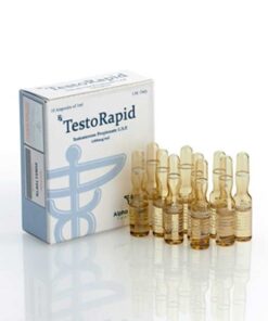 TESTORAPID AMP